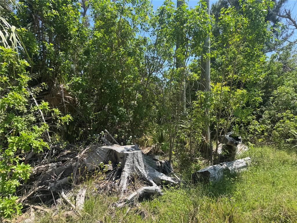 8992 Seagrape Lane Boca Grande, FL 33921 - Photo 6 of 28 a view of an outdoor space