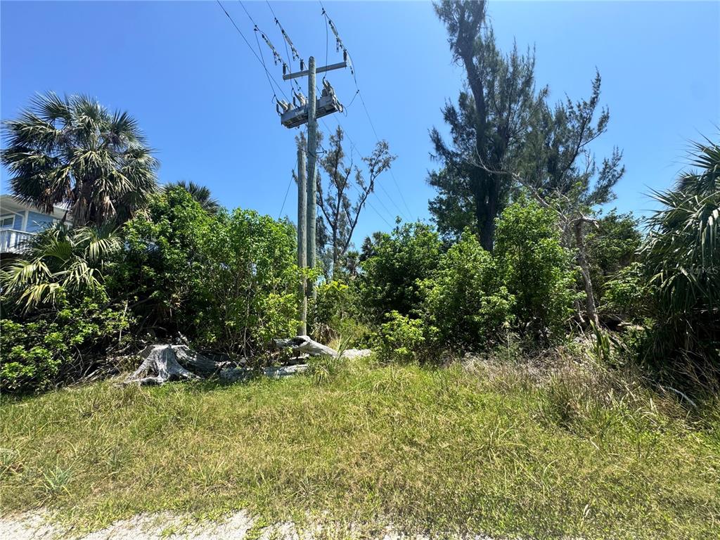8992 Seagrape Lane Boca Grande, FL 33921 - Photo 7 of 28 a view of a backyard of the house