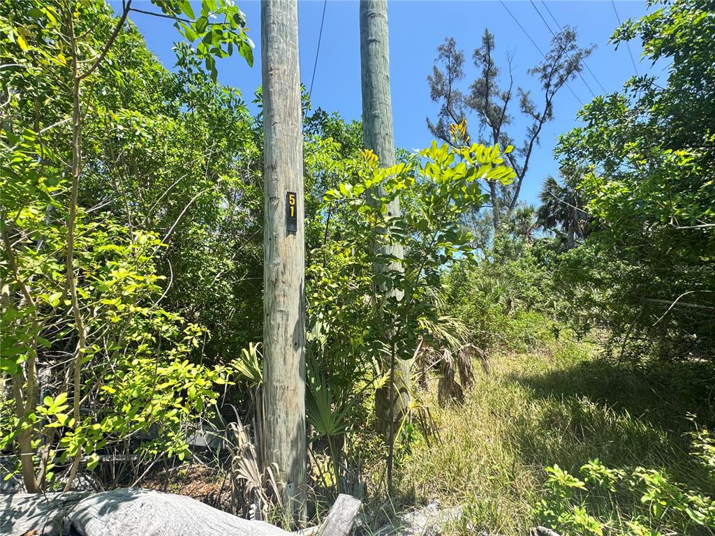 8992 Seagrape Lane Boca Grande, FL 33921 - Photo 8 of 28 a view of a plants with a tree