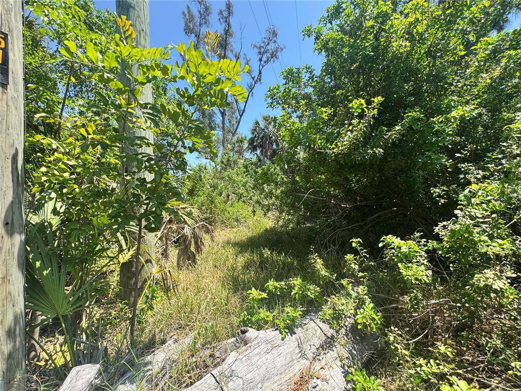 8992 Seagrape Lane Boca Grande, FL 33921 - Photo 10 of 28 a backyard of a house