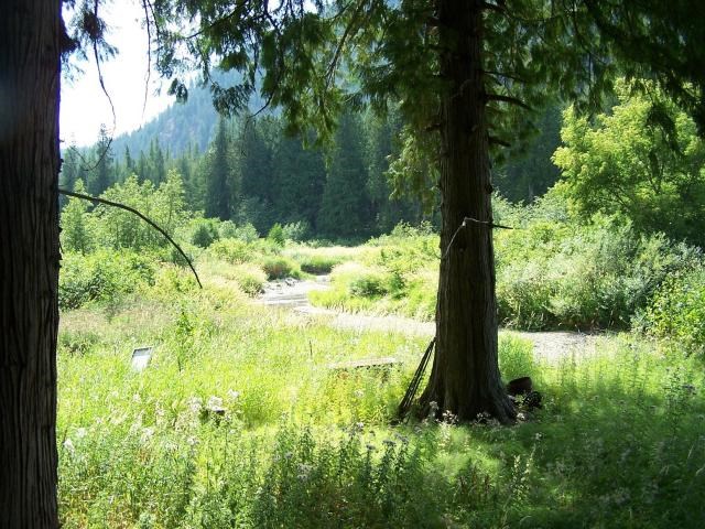 3113 Aladdin Road Colville, WA 99114 - Photo 3 of 8 Gallery Image 3