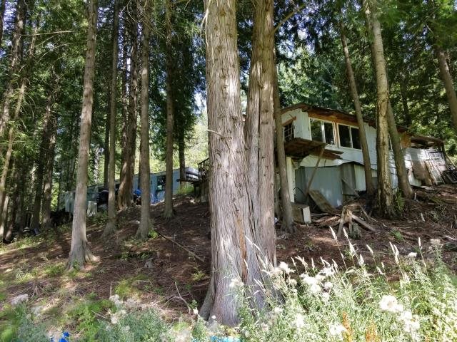 3113 Aladdin Road Colville, WA 99114 - Photo 6 of 8 Gallery Image 6