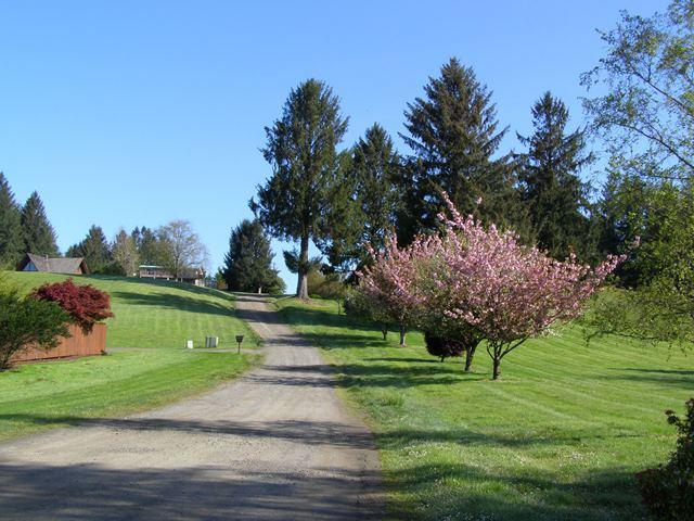 Tl#605 Latimer Road North Tillamook, OR 97141 - Photo 26 of 28 P5021242