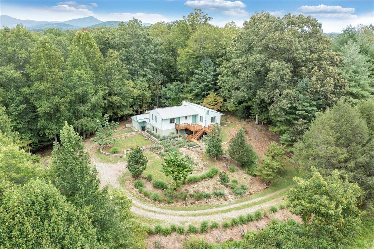 Aerial House View