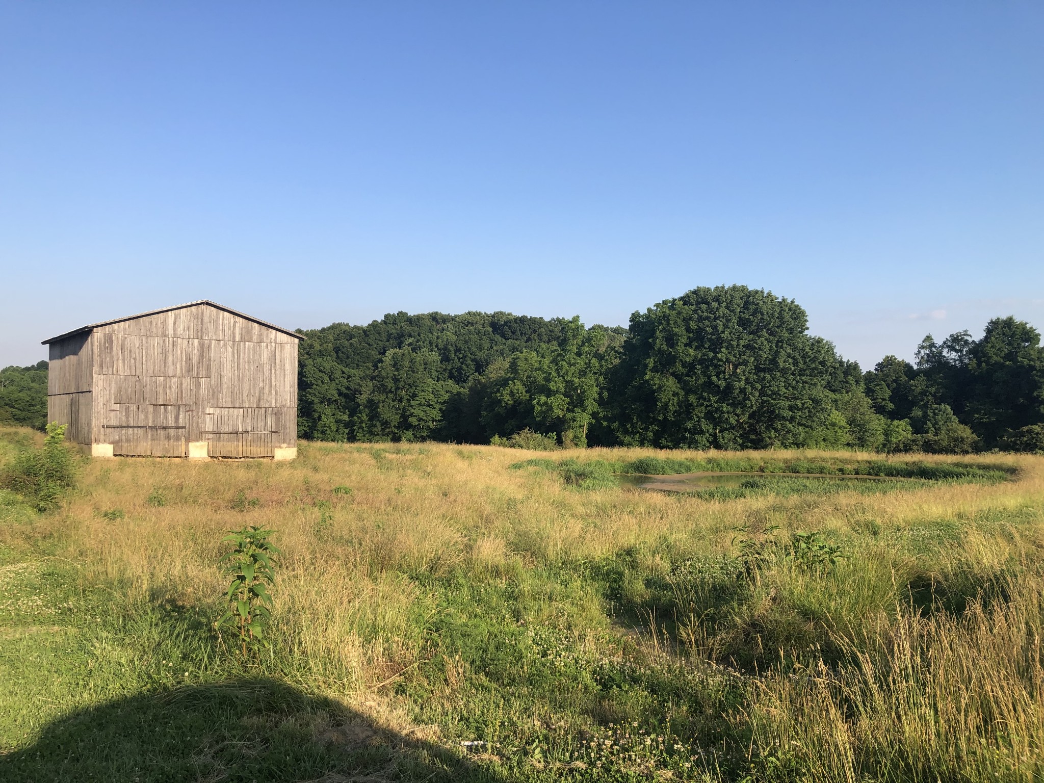 6 Maxwell Branch Road Cottontown, TN 37048 - Photo 2 of 2 a view of a yard
