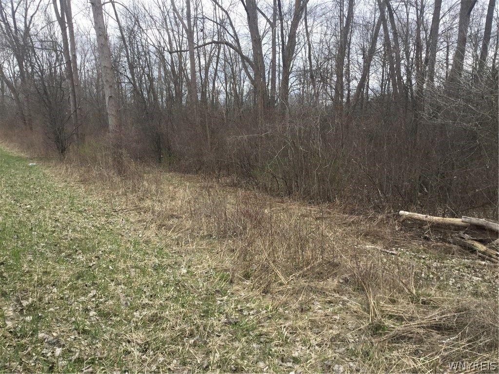 5902 Bear Ridge Road Lockport Town, NY 14094 - Photo 1 of 1