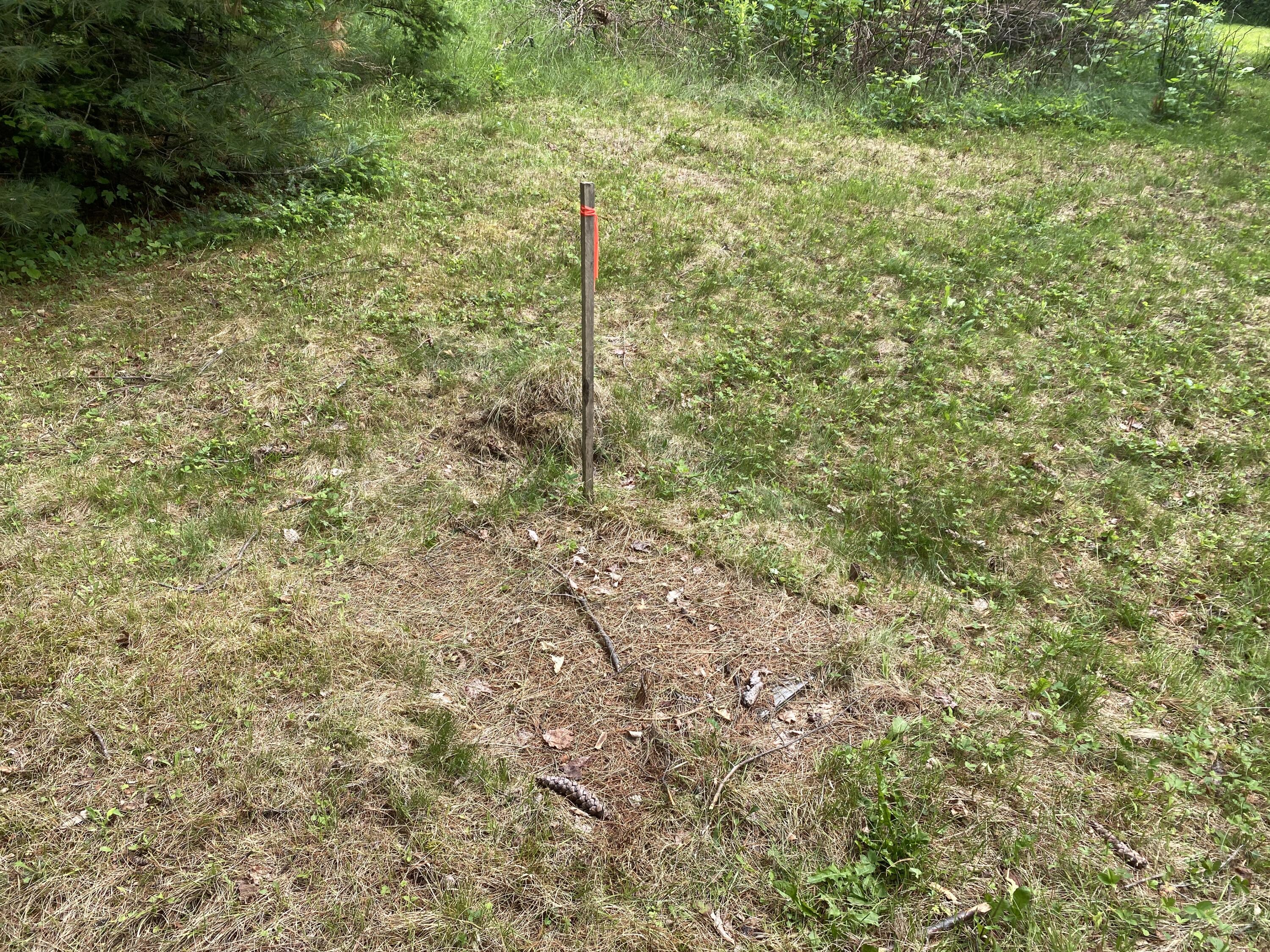 783 Half Township Road Lincoln, ME 04457 - Photo 13 of 24 IMG_13