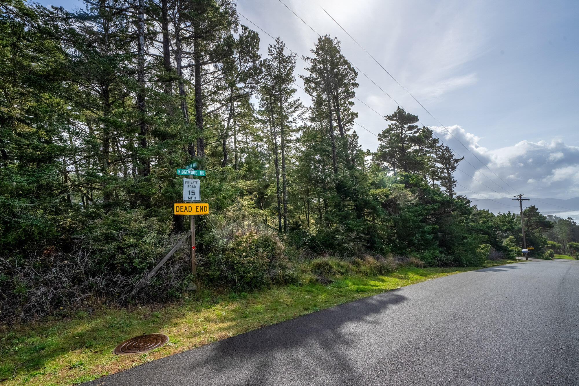 301 Ridgewood Road Tillamook, OR 97141 - Photo 6 of 11 front of lot