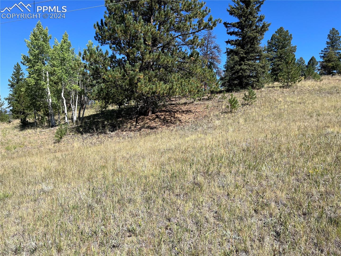 1821 Twin Rocks Road Florissant, CO 80816 - Photo 6 of 8 Gallery Image 6