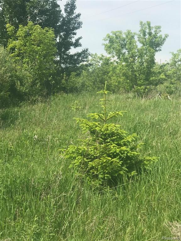 0 East Applegate Road Sandusky, MI 48471 - Photo 10 of 17
