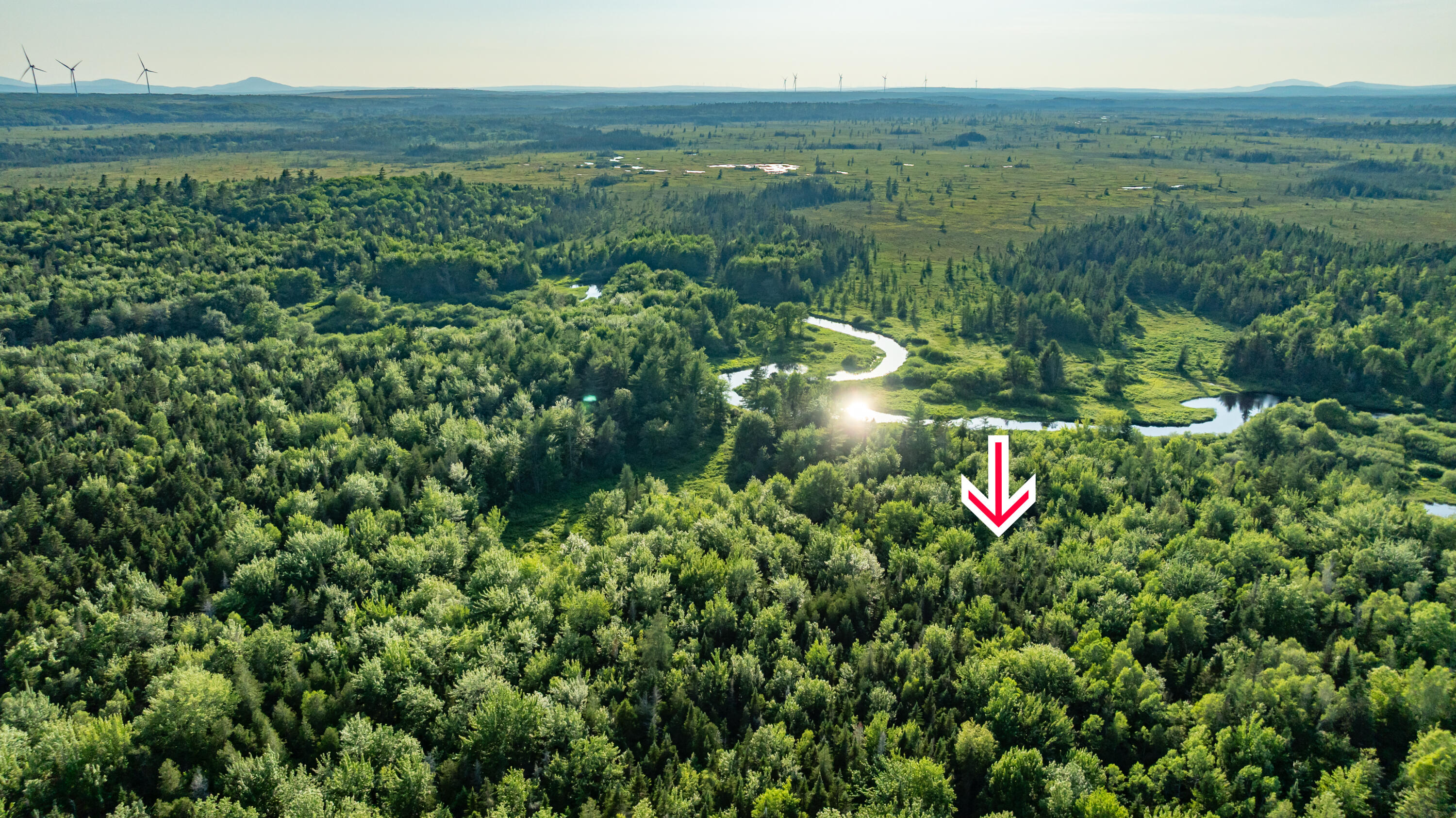 278 Saco Road Columbia Falls, ME 04623 - Photo 79 of 89 278 Saco Road Aerials-6