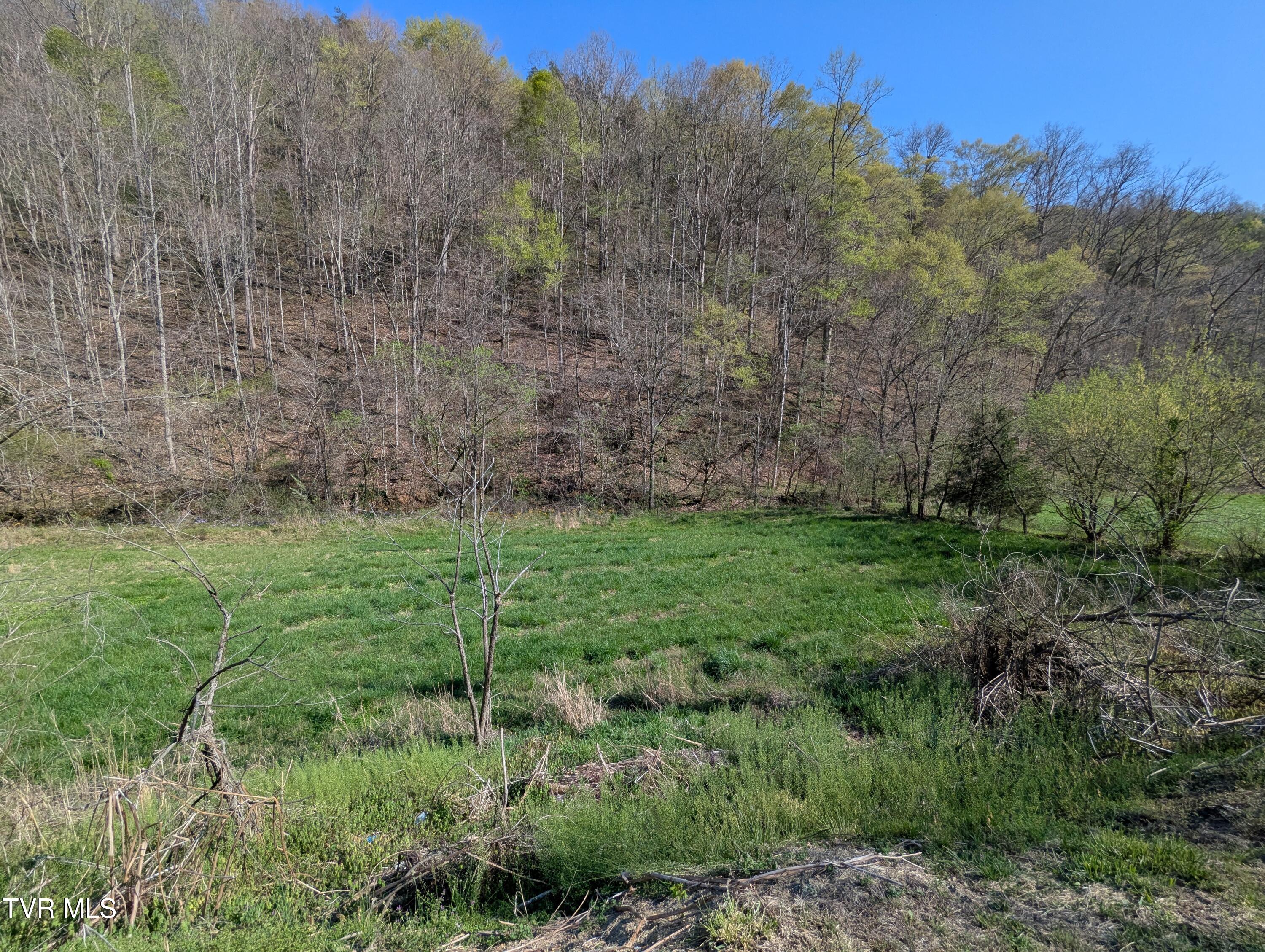 2310 Speers Valley Road Duffield, VA 24244 - Photo 15 of 18 2025-04-18 16.59.09