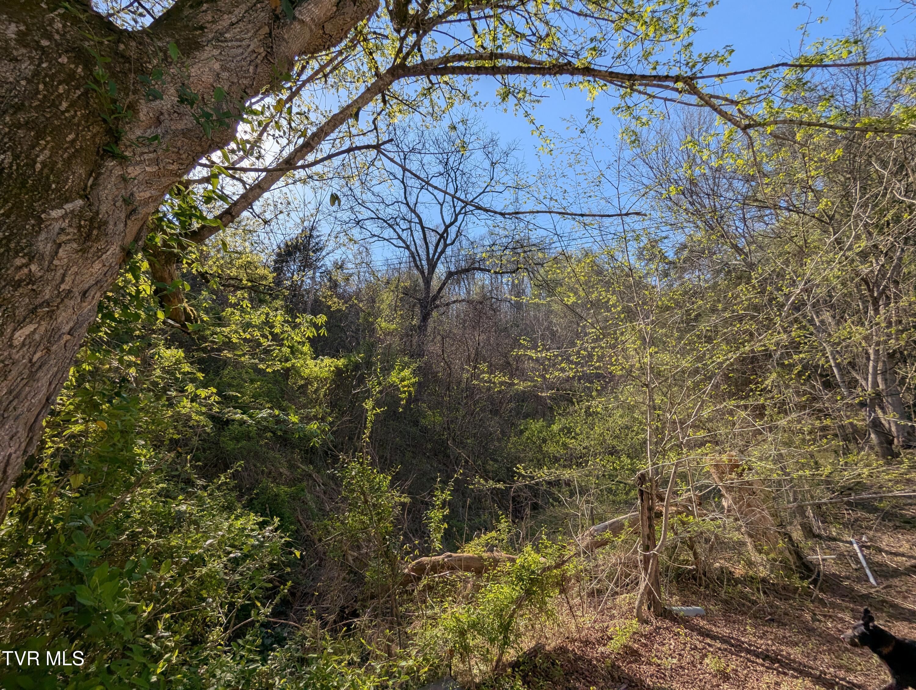 2310 Speers Valley Road Duffield, VA 24244 - Photo 3 of 18 2025-04-18 16.55.02