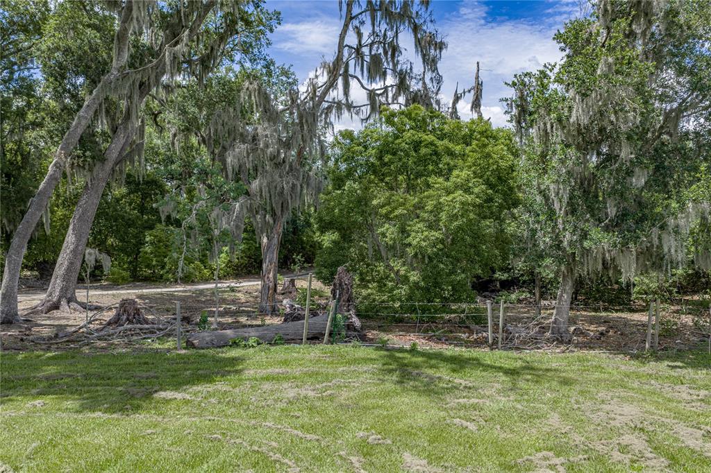 14080 Sydney Road Dover, FL 33527 - Photo 21 of 100