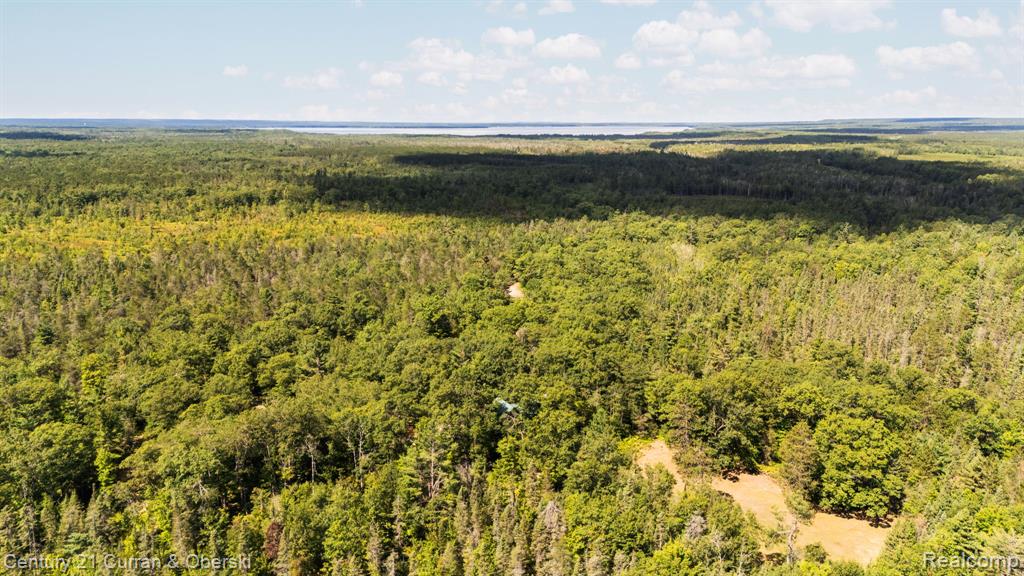 3265 Roost Road Onaway, MI 49765 - Photo 4 of 51