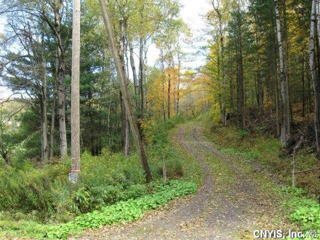 0 Fairground Road Brookfield, NY 13314 - Photo 1 of 1 Land
