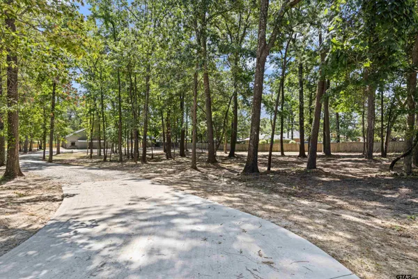 a view of a tree in the middle of a yard