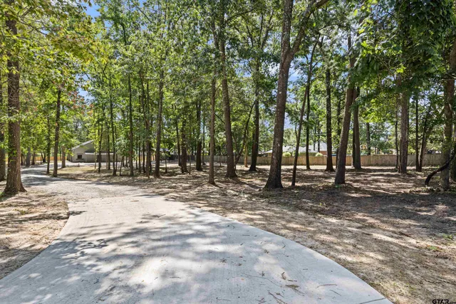 a view of a tree in the middle of a yard