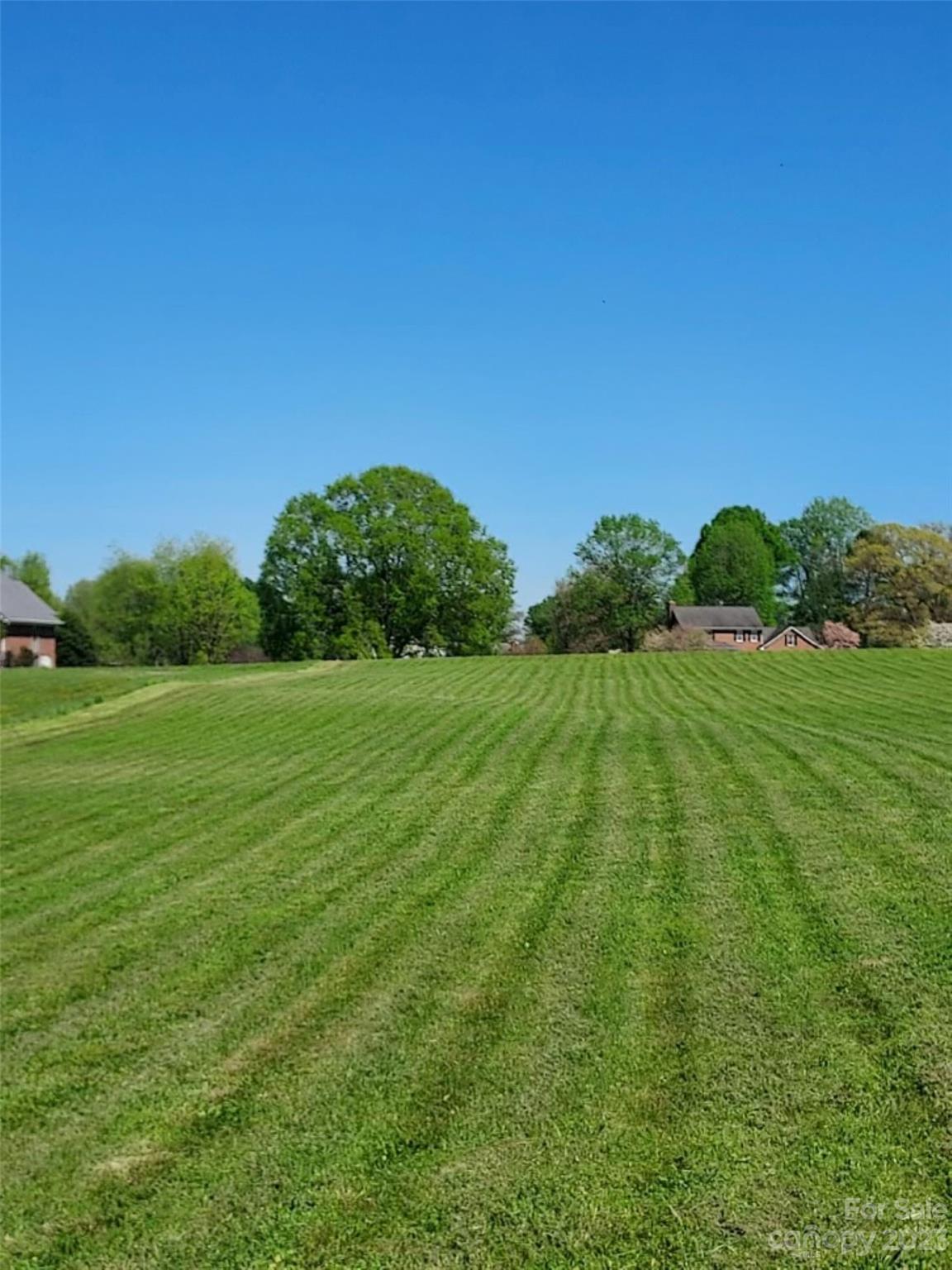 145 Buck Fraley Road Cherryville, NC 28021 - Photo 3 of 7 a view of a grassy field with grass