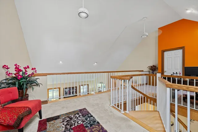 a living room with furniture a rug and a potted plant