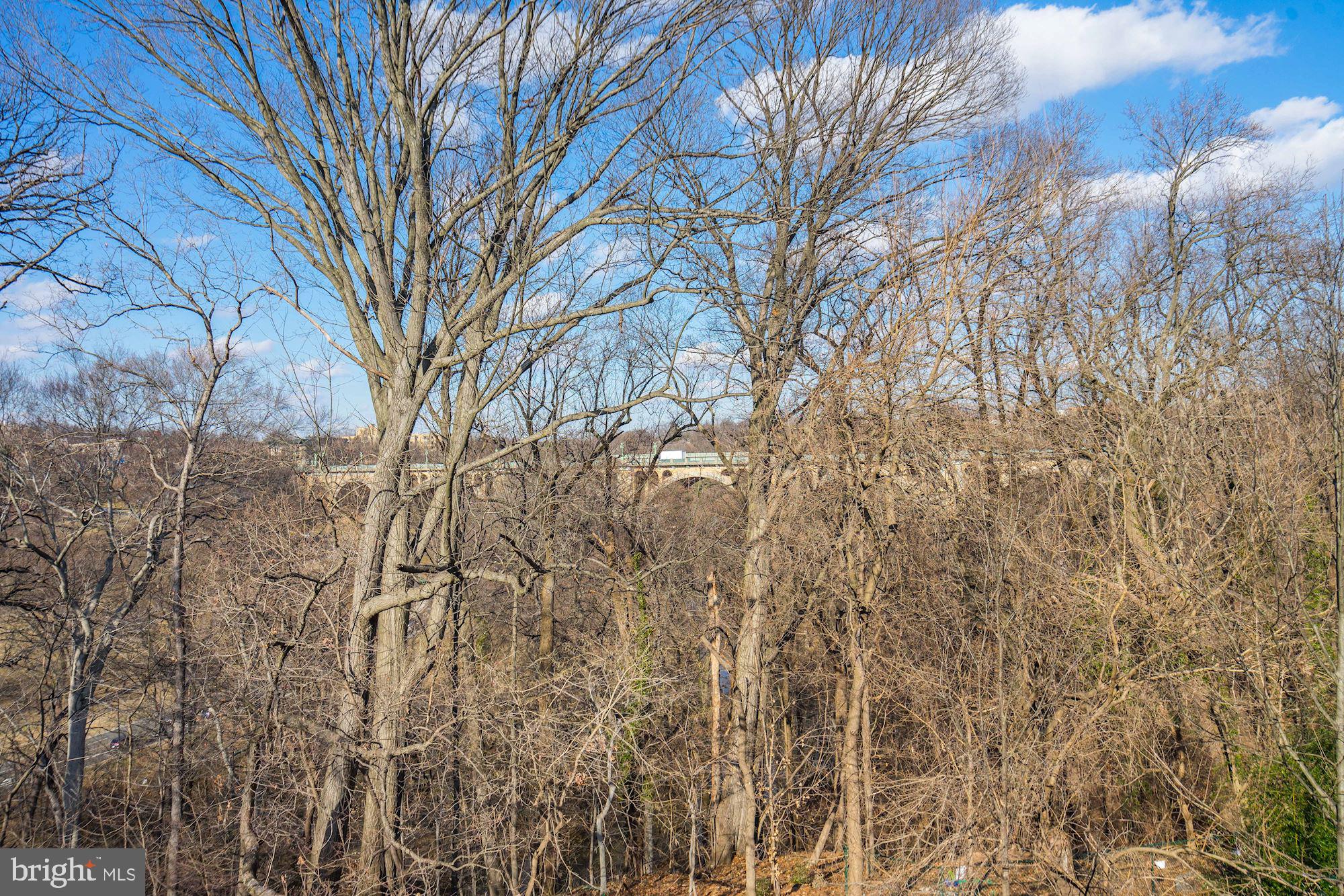 84 Kalorama Circle Northwest Washington, DC 20008 - Photo 23 of 45 a view of a yard
