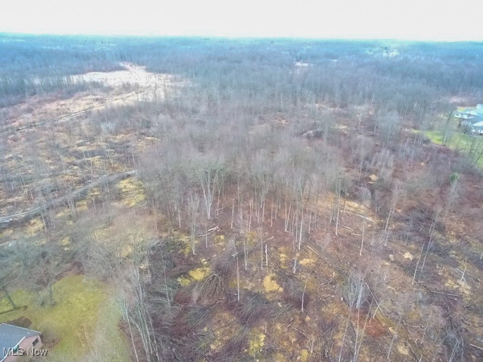 Old Colony Road Northwest Warren, OH 44481 - Photo 3 of 4
