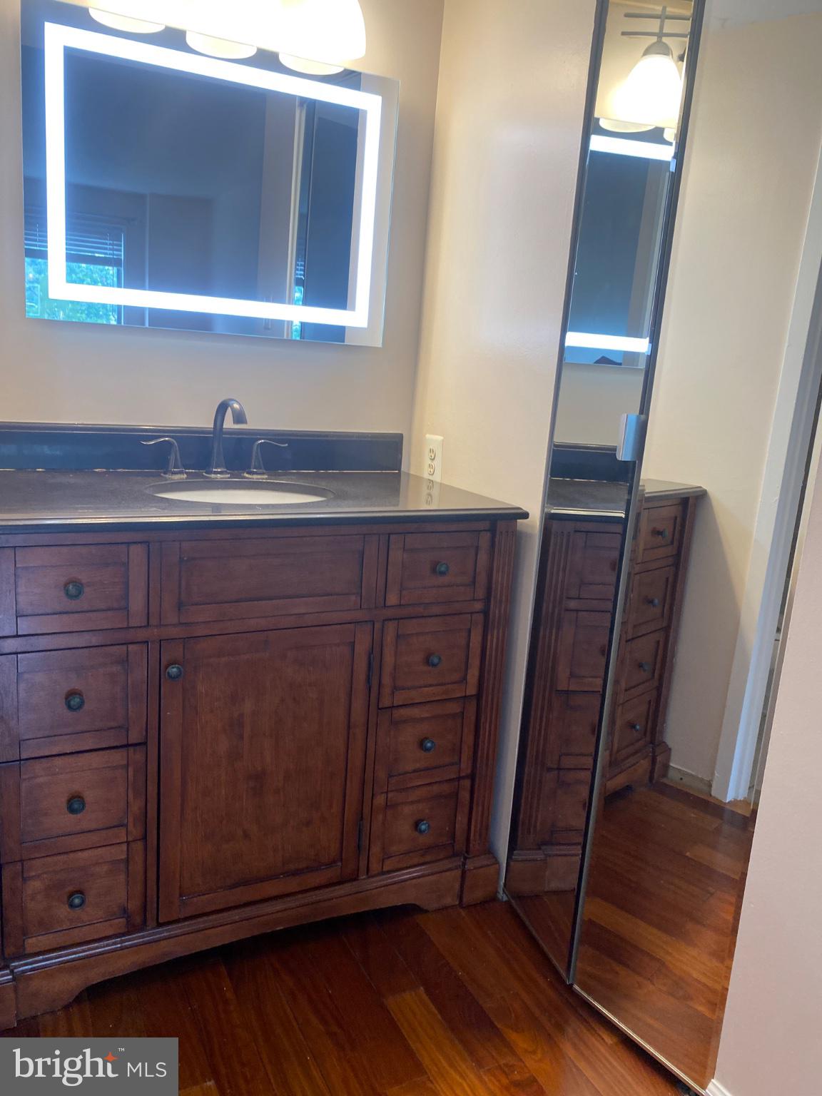 1836 Metzerott Road, Unit 707 Hyattsville, MD 20783 - Photo 19 of 25 Elegant bathroom with modern touches.