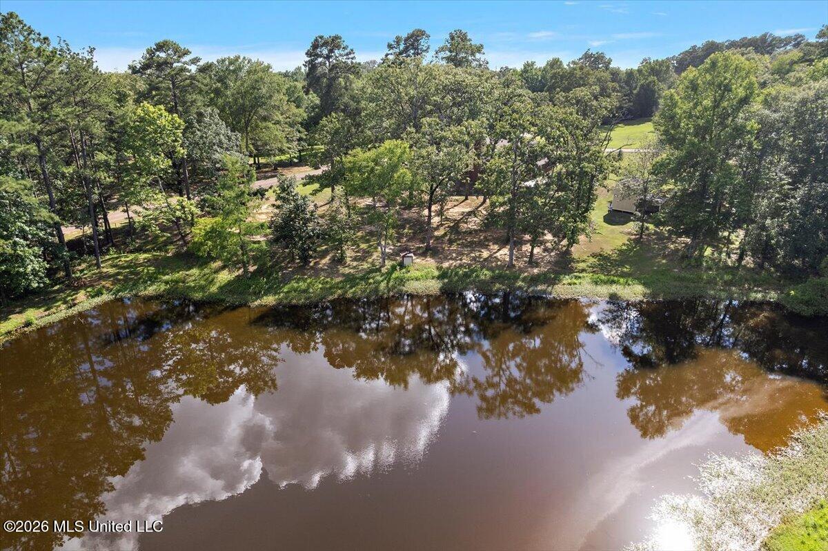 402 Springwood Circle Terry, MS 39170 - Photo 47 of 49 47-IDJI_0057
