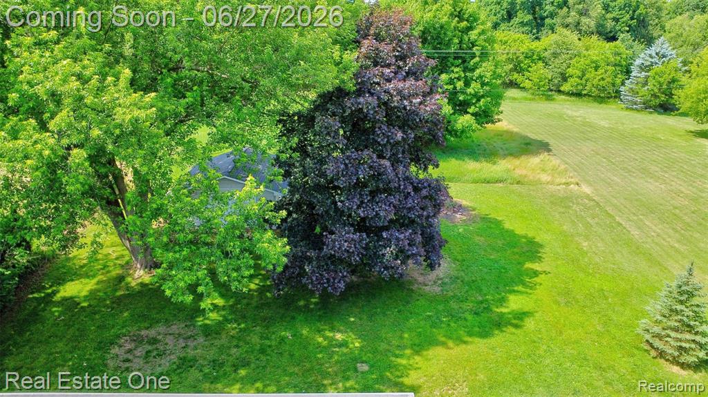 10379 Hegel Road Goodrich, MI 48438 - Photo 46 of 70