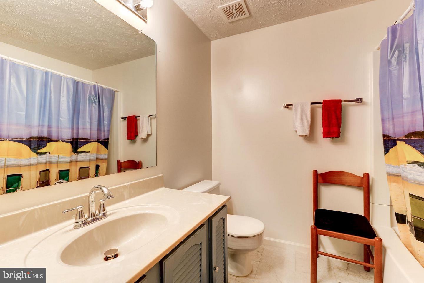 10117 Shelldrake Circle Damascus, MD 20872 - Photo 12 of 14 a bathroom with a sink vanity mirror and toilet