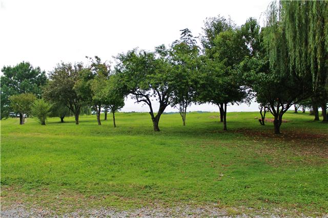 2935 Jack Teasley Road Pleasant View, TN 37146 - Photo 18 of 18 Private backyard with mature trees