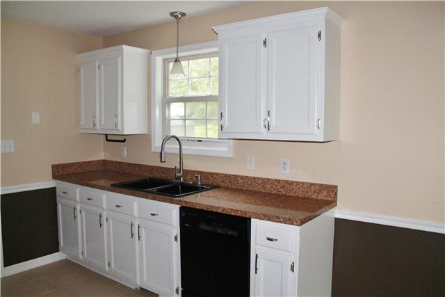 2935 Jack Teasley Road Pleasant View, TN 37146 - Photo 10 of 18 Brand new faucet and updated cabinets and countertops