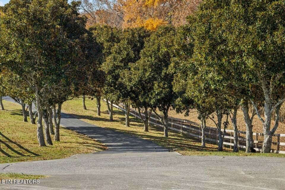 6130 James Cline Road Talbott, TN 37877 - Photo 4 of 33 entrance