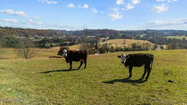 $2,449,000 | 6130 James Cline Road, Talbott, TN 37877