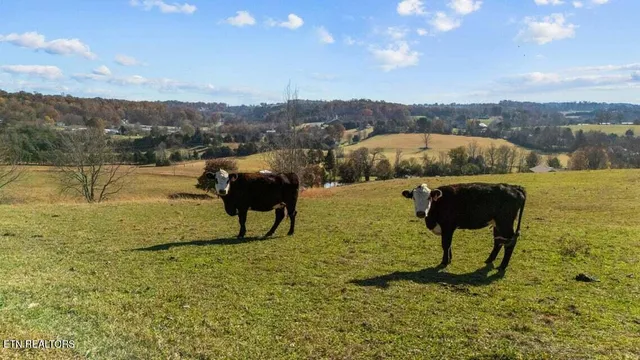 $2,599,000 | 6130 James Cline Road, Talbott, TN 37877