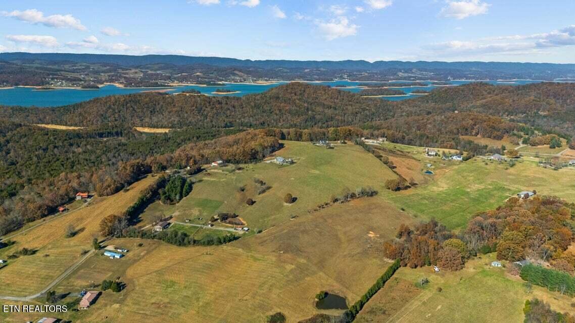 6130 James Cline Road Talbott, TN 37877 - Photo 9 of 33 land 5