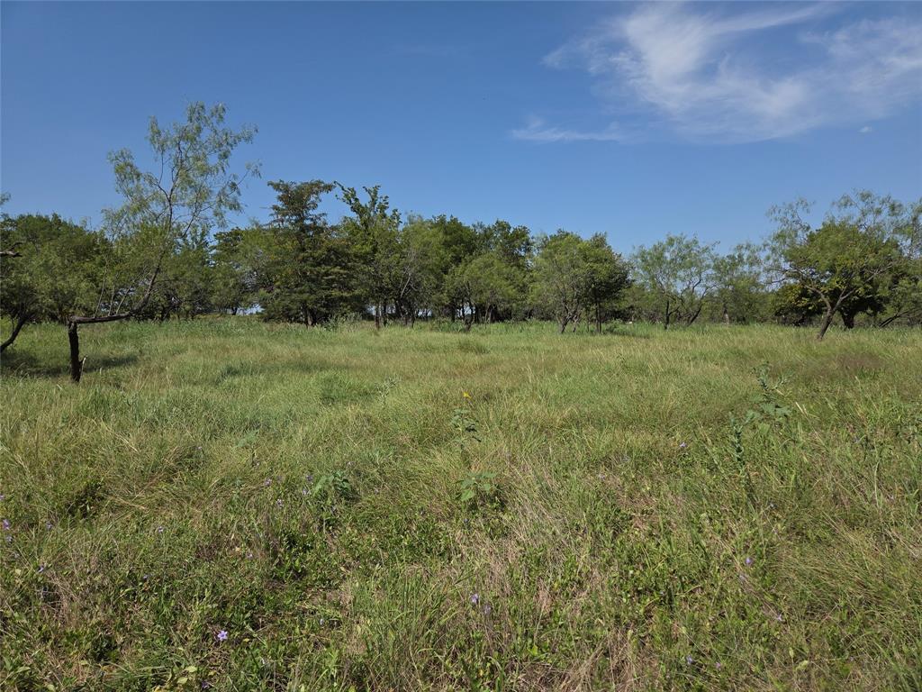 Lot 5-r4 Southwest Lot 5-r4 Sw County Road Corsicana, TX 75110 - Photo 13 of 38 a view of an outdoor space and a yard