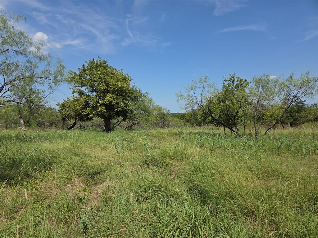 Lot 5-r4 Southwest Lot 5-r4 Sw County Road Corsicana, TX 75110 - Photo 15 of 38 a view of a lush green space and a yard