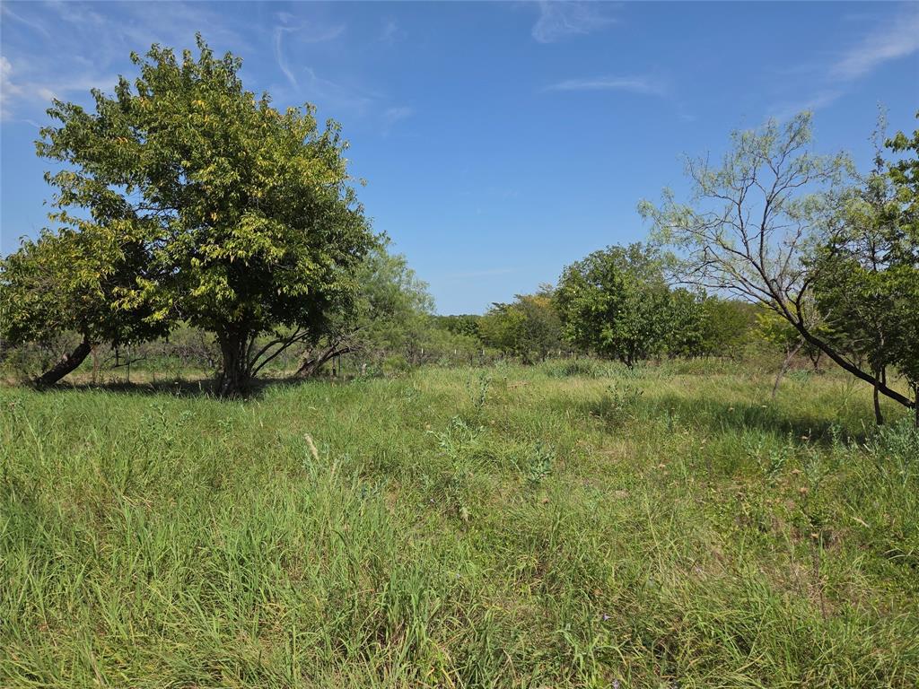 Lot 5-r4 Southwest Lot 5-r4 Sw County Road Corsicana, TX 75110 - Photo 16 of 38 a view of a garden