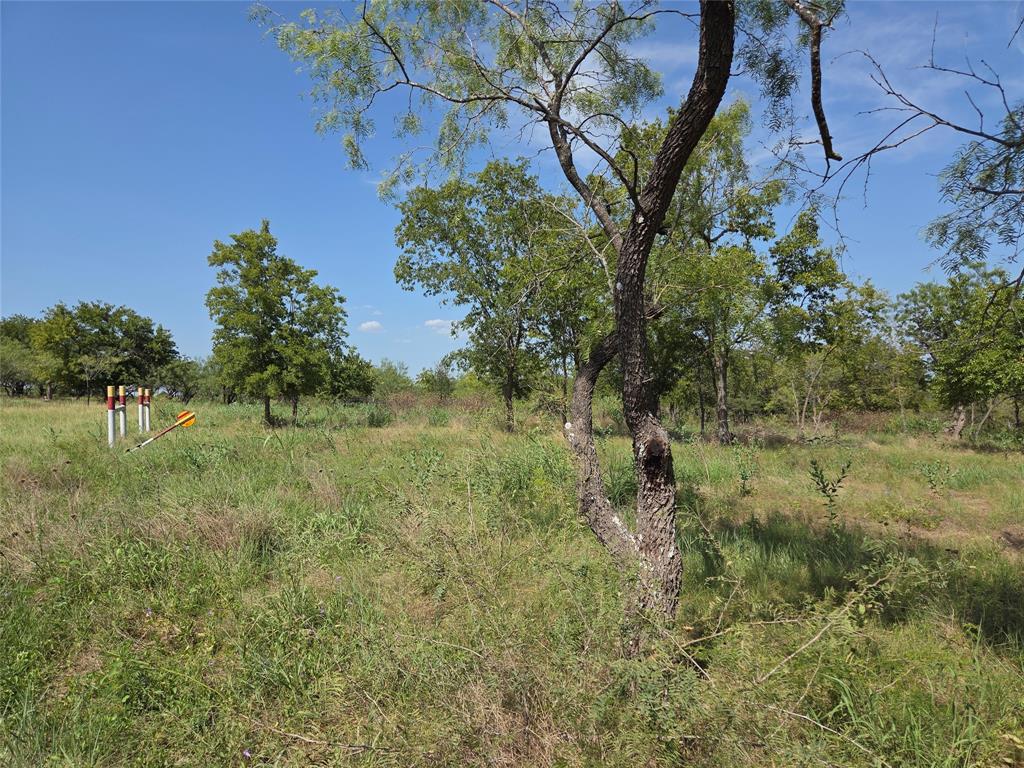 Lot 5-r4 Southwest Lot 5-r4 Sw County Road Corsicana, TX 75110 - Photo 20 of 38 a view of a lush green forest