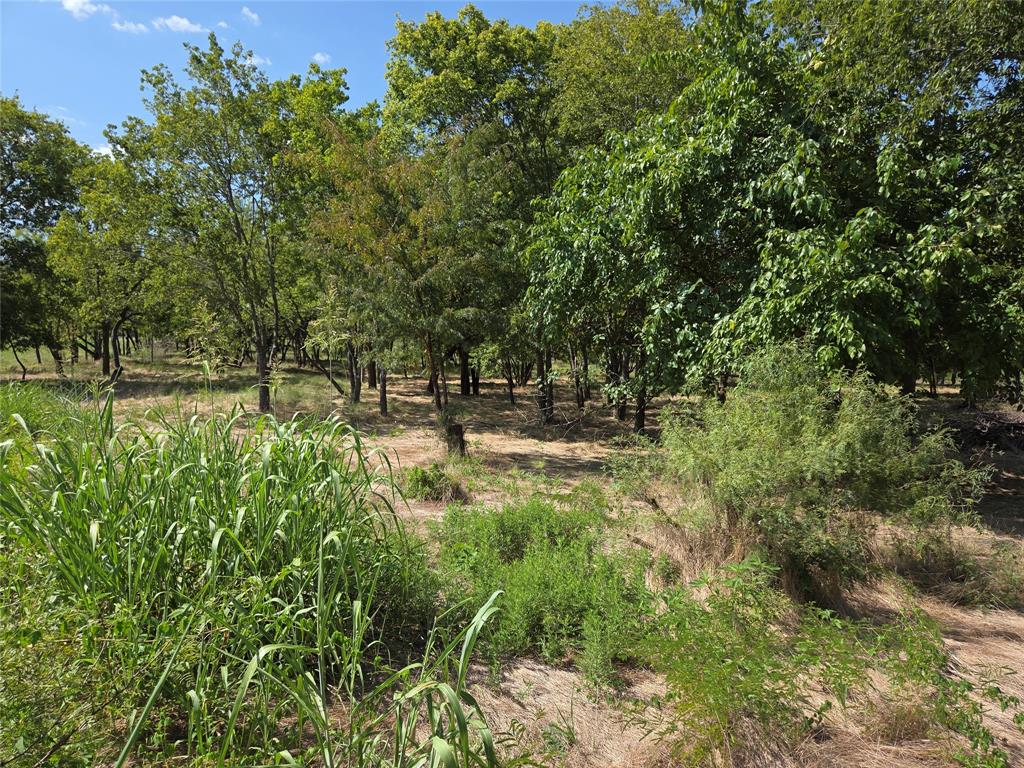 Lot 5-r4 Southwest Lot 5-r4 Sw County Road Corsicana, TX 75110 - Photo 21 of 38 a view of park with tree