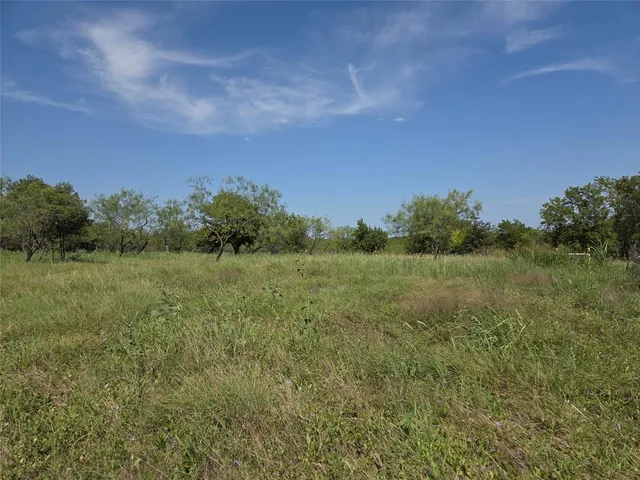 a view of a field of grass and trees