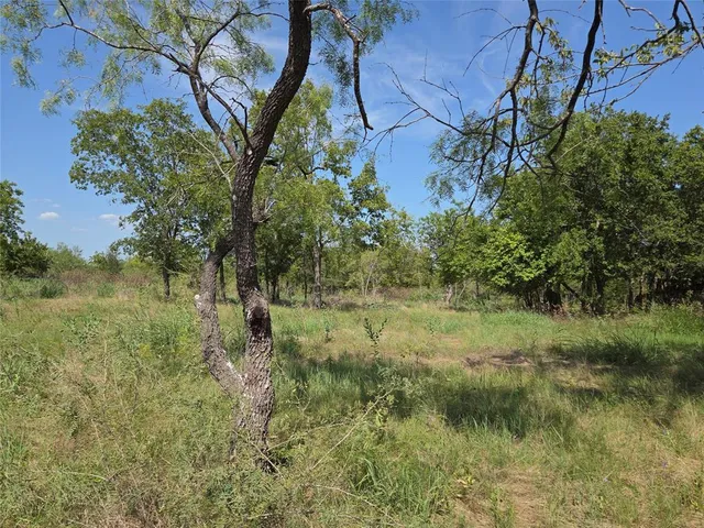 a view of yard with green space