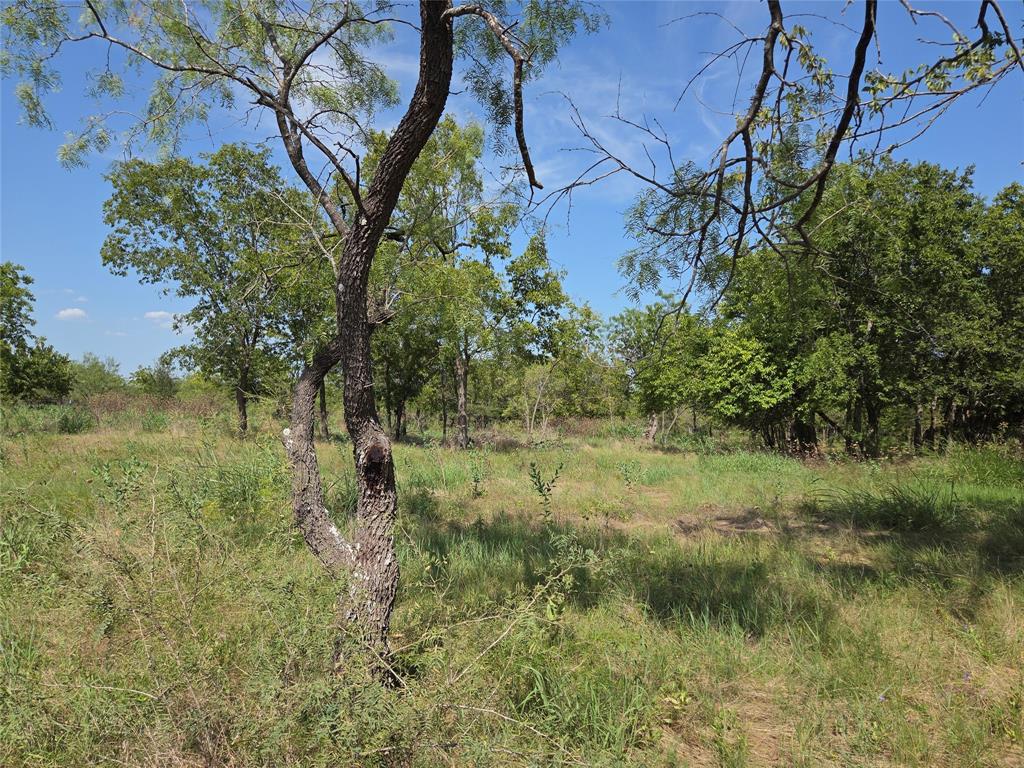 Lot 5-r4 Southwest Lot 5-r4 Sw County Road Corsicana, TX 75110 - Photo 27 of 38