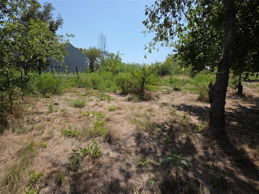 Lot 5-r4 Southwest Lot 5-r4 Sw County Road Corsicana, TX 75110 - Photo 28 of 38 a view of a forest filled with trees