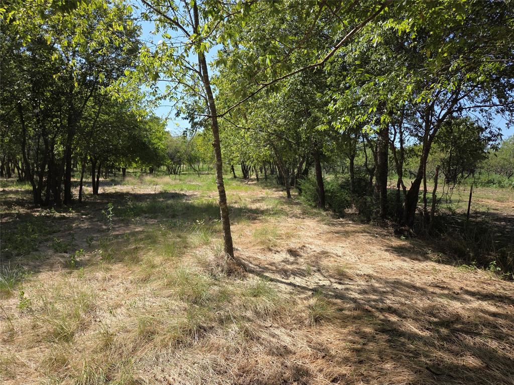 Lot 5-r4 Southwest Lot 5-r4 Sw County Road Corsicana, TX 75110 - Photo 30 of 38 a backyard of a house with lots of green space