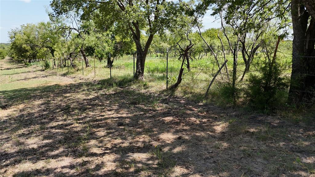 Lot 5-r4 Southwest Lot 5-r4 Sw County Road Corsicana, TX 75110 - Photo 32 of 38 a view of a yard with large trees