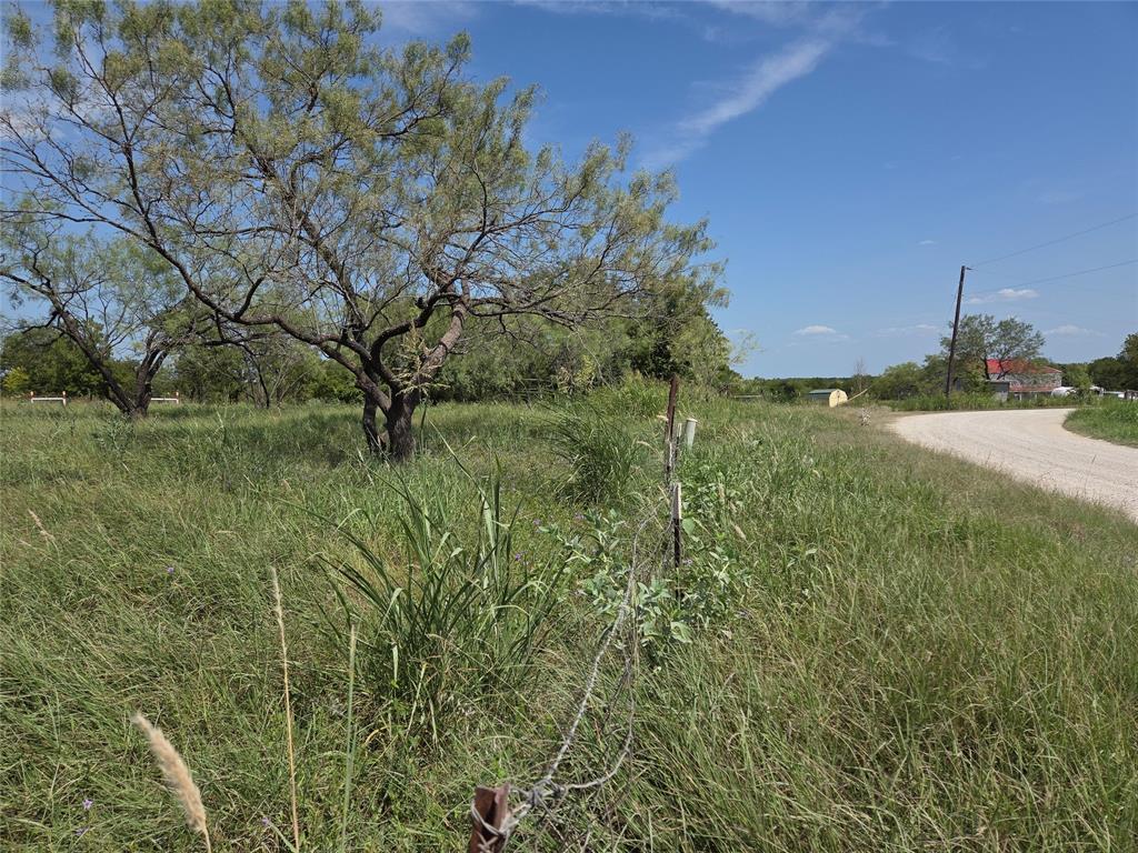 Lot 5-r4 Southwest Lot 5-r4 Sw County Road Corsicana, TX 75110 - Photo 33 of 38 a view of a field of grass and trees