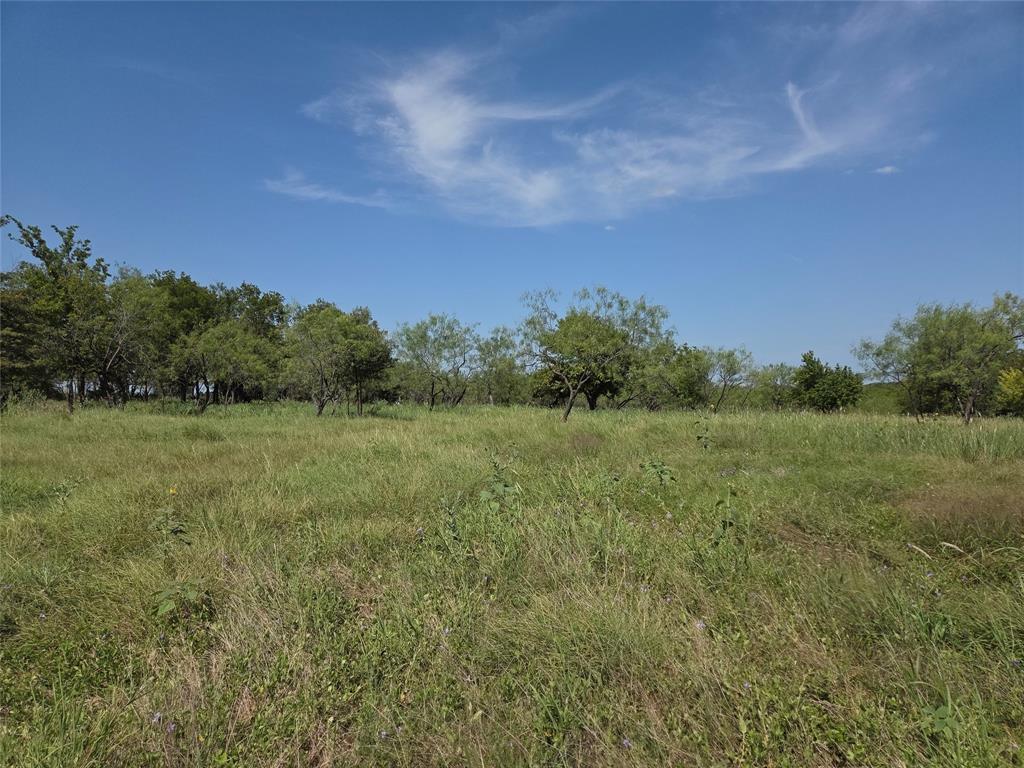 Lot 5-r4 Southwest Lot 5-r4 Sw County Road Corsicana, TX 75110 - Photo 34 of 38 a view of a green field with trees in the background