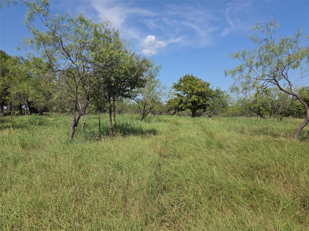 Lot 5-r4 Southwest Lot 5-r4 Sw County Road Corsicana, TX 75110 - Photo 36 of 38 a view of a lush green space